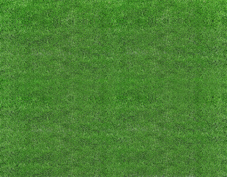 green natural grass of a Football soccer field 