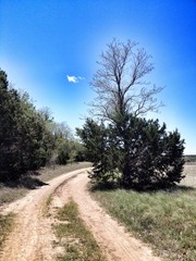 A single cloud is leading the way