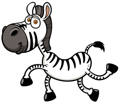 Vector illustration of Zebra