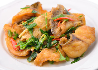 Fried fish  with celery, delicious food Thailand style
