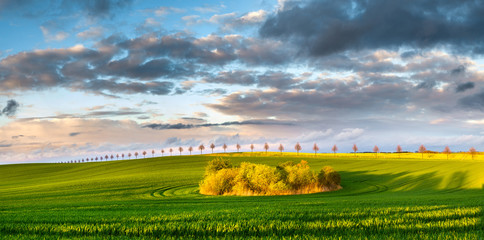 Wiosna © Mike Mareen