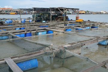 Fototapeta na wymiar Fish Rearing Farm At Coastal Area