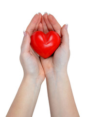 Fototapeta premium serce w ręku na białym tle