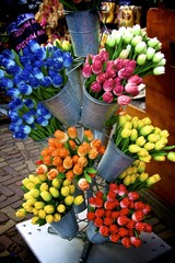 Tipici Tulipani in legno a Volendam