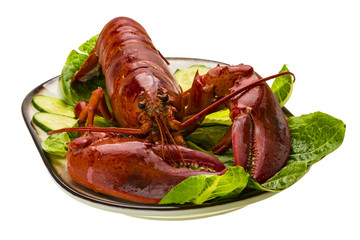 Large Lobster