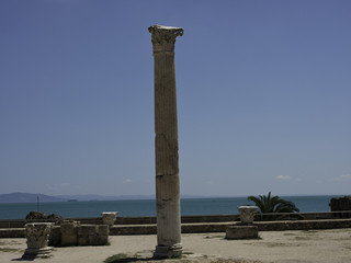 tunis