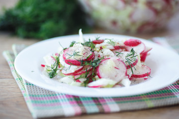spring salad with radishes