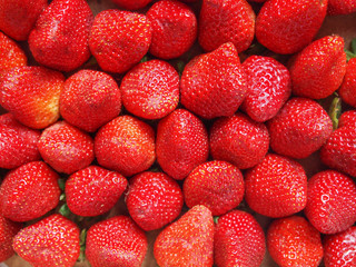 Strawberries fruits