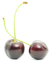 Sweet Cherry