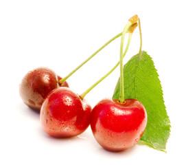 three cherries just picked