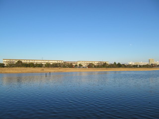 千葉県の谷津干潟
