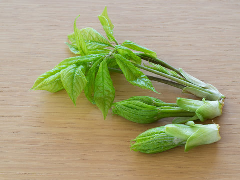 漉油