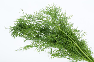 Green dill isolated on white background.