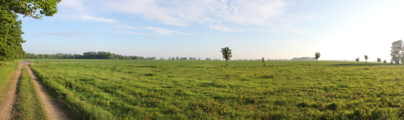 A panoramic view of a rural landscape in summer