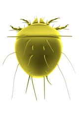 realistic 3d render of mite