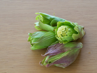 春の山菜の蕗の薹