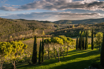 Naklejka premium la toscana,