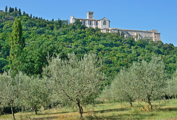 Fototapeta na wymiar die berühmte Basilika San Francesco in Assisi in Umbrien