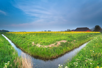 Dutch farmland in spring