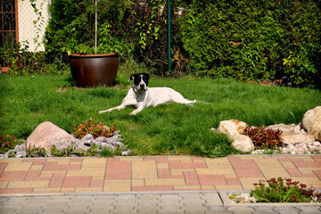 landscaped gardens with a home watcher