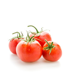 Tomato isolated on white