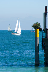 Segelboote am Bodensee