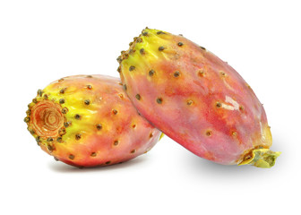 prickly pear