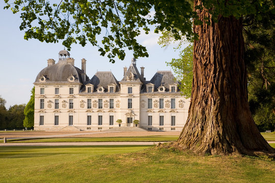 Chateau de Cheverny behind the tree