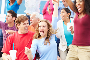 Spectators Celebrating At Outdoor Sports Event