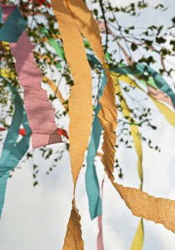 Fototapeta Maibaum