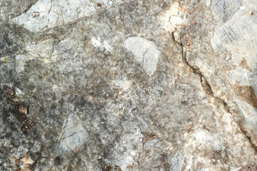 gray and brown background texture