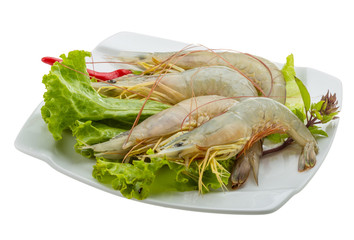 Raw tiger shrimps