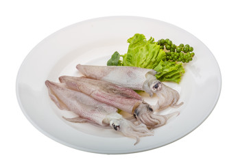 Raw calamari
