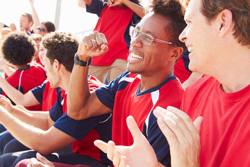 Spectators In Team Colors Watching Sports Event