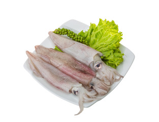 Raw calamari