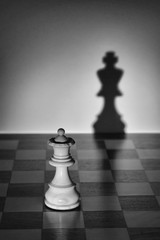 Animus: the masculine in the female