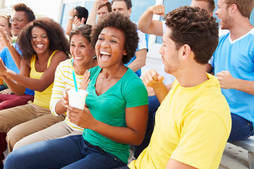 Spectators In Team Colors Watching Sports Event