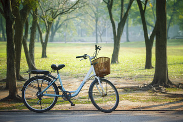 Fototapeta na wymiar old vintage bicycle in public park with green nature concept