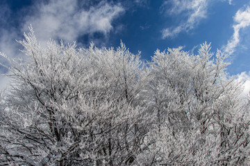 Montagnes sous la neige