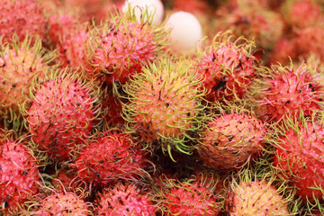 Sweet fruits rambutan in the market