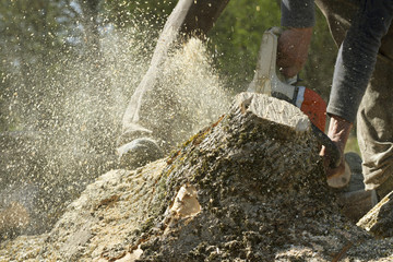 Man cuts a fallen tree.