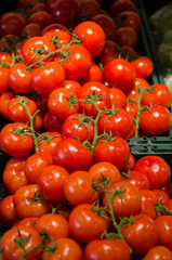 background of red tomatoes with sprig