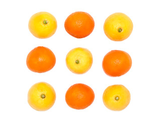 Orange and lemon fruits on a white background