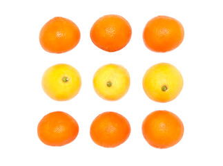 Orange and lemon fruits on a white background