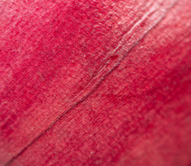 Abstract red background. Macro