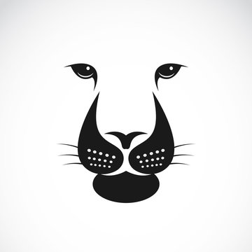 Vector image of an lions face