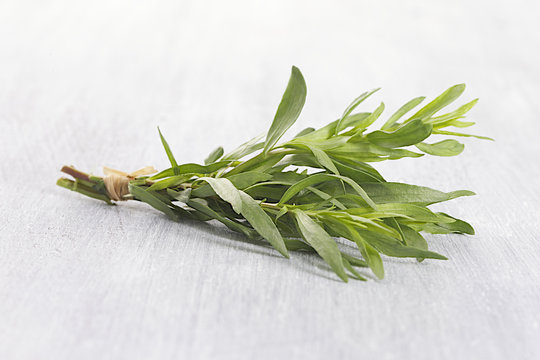 Fresh tarragon herb bunch isolated on a white background