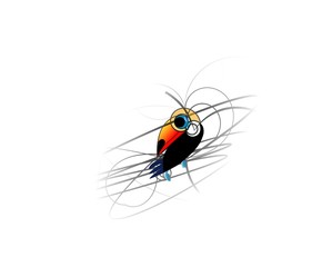 toucan illustration