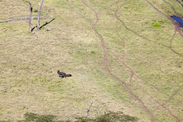 Nakuru National Park Landscape, Kenya