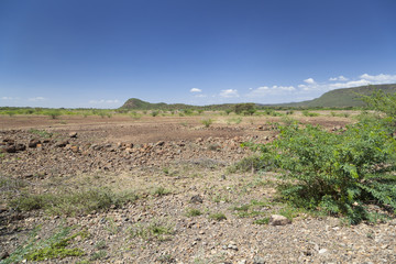 Lake Bogoria, Kenya